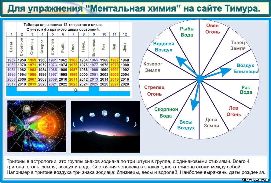 Жизненный цикл, Фазы цикла