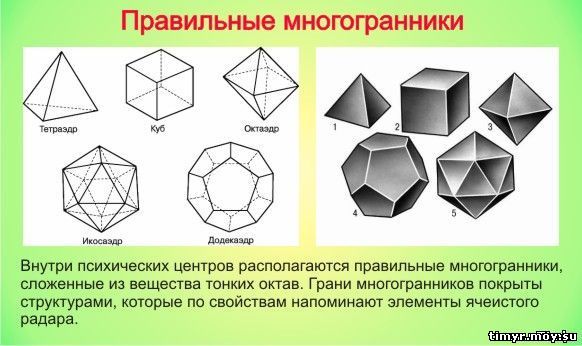 Ментальная культура