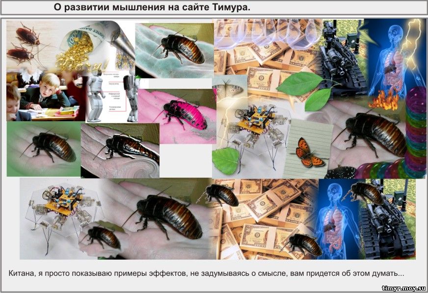 Вчера я замыслил качественно новое научное исследование.