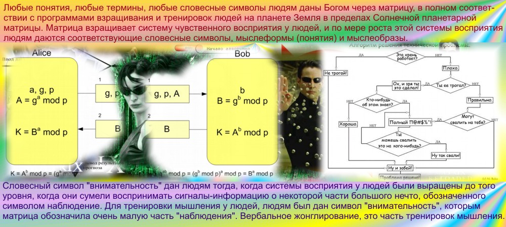 Инструкция - чтобы не писать в корзину.