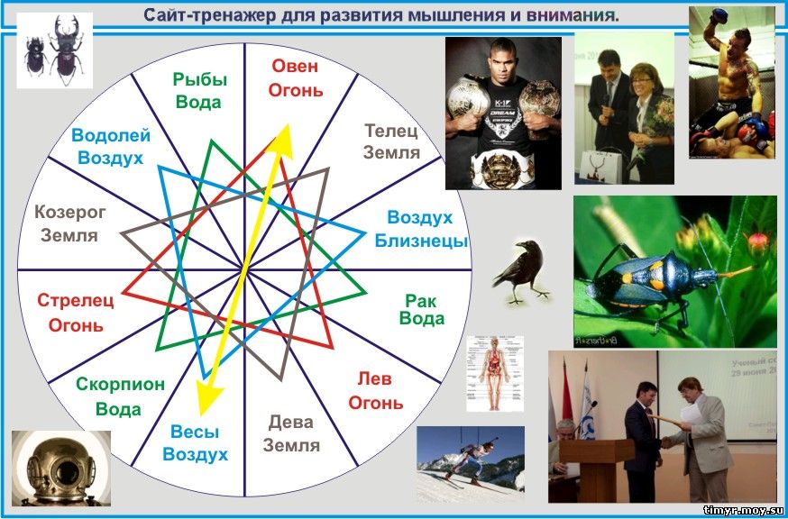 Программы кандидатов в президенты россии 2018