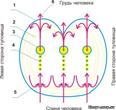 Тест  на внимательность игра