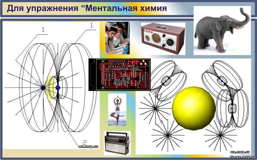 Мои обязанности