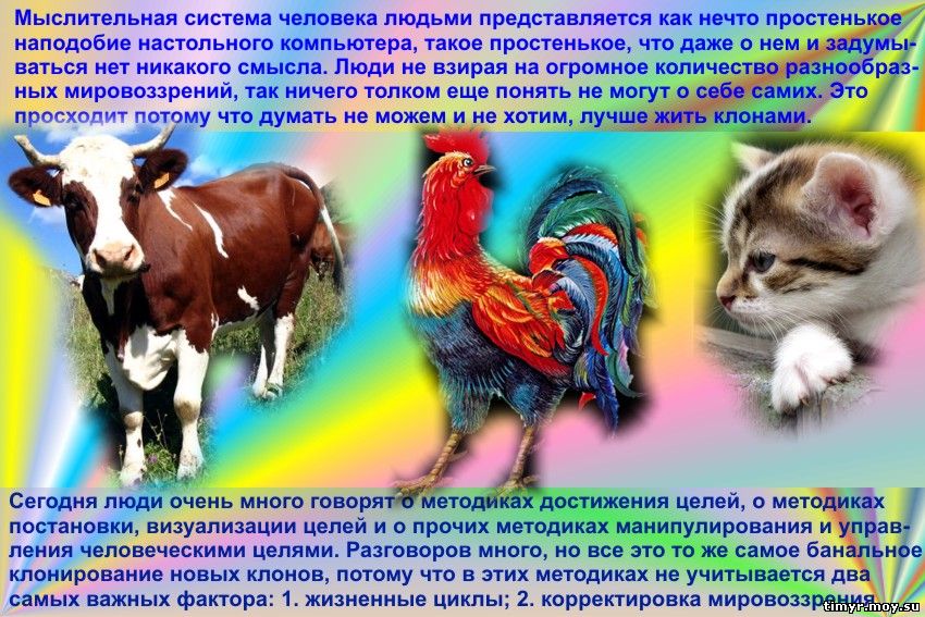 Состояние здоровья человека