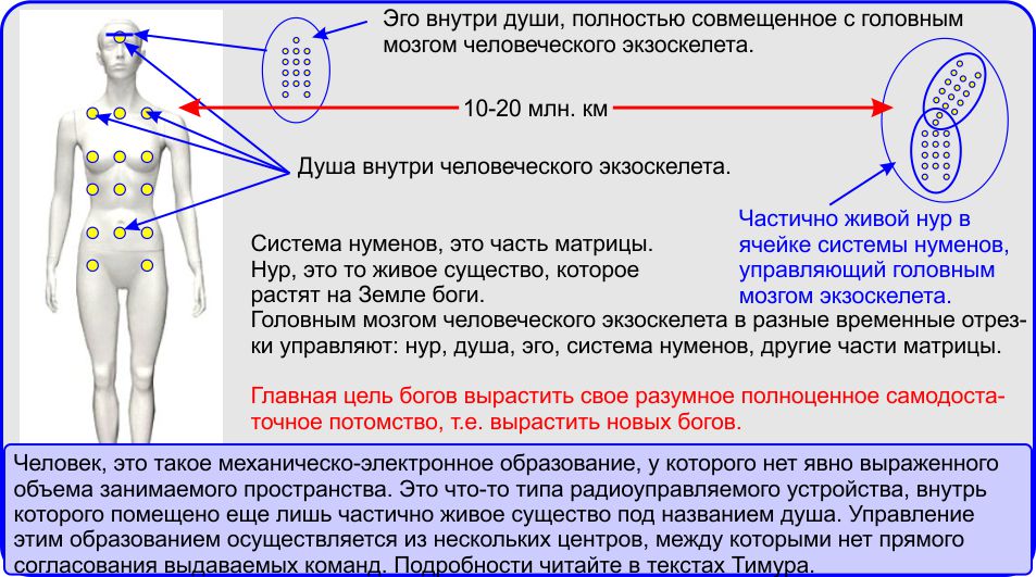 Устройство человека. Мировоззрение, в центре которого находится человек.