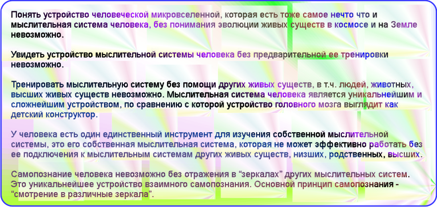 агрессия и основные средства вербального общения