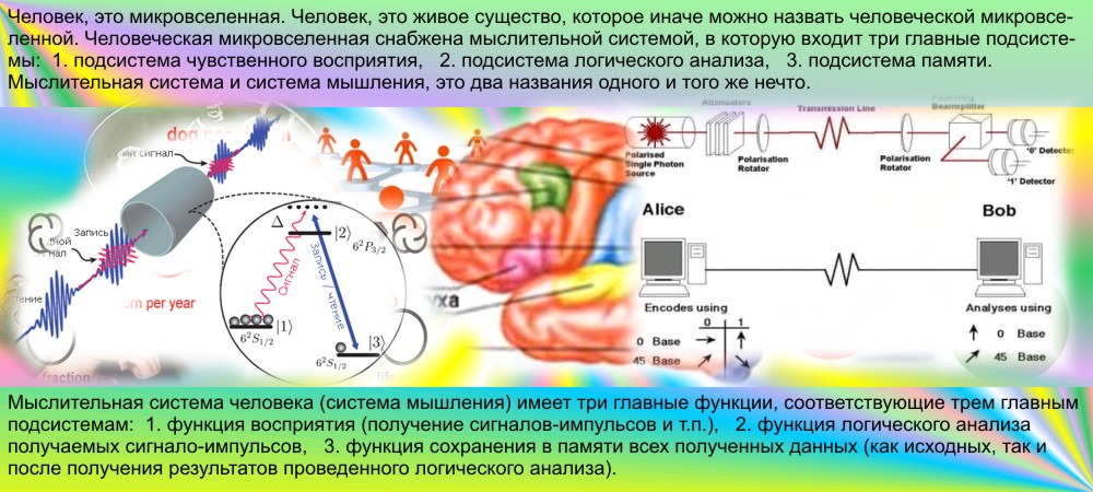 Внимание человека