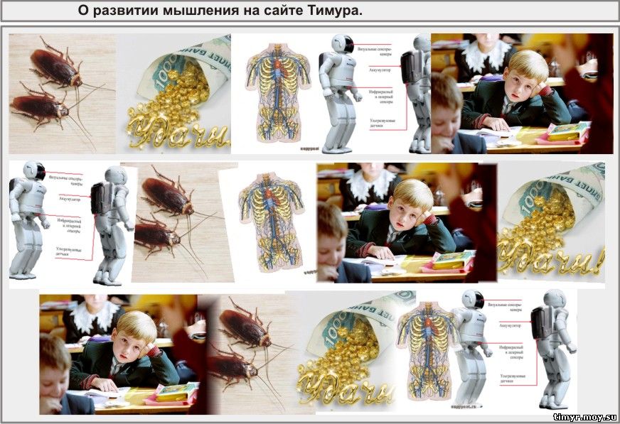 Роль права и мировоззрения Байтерек