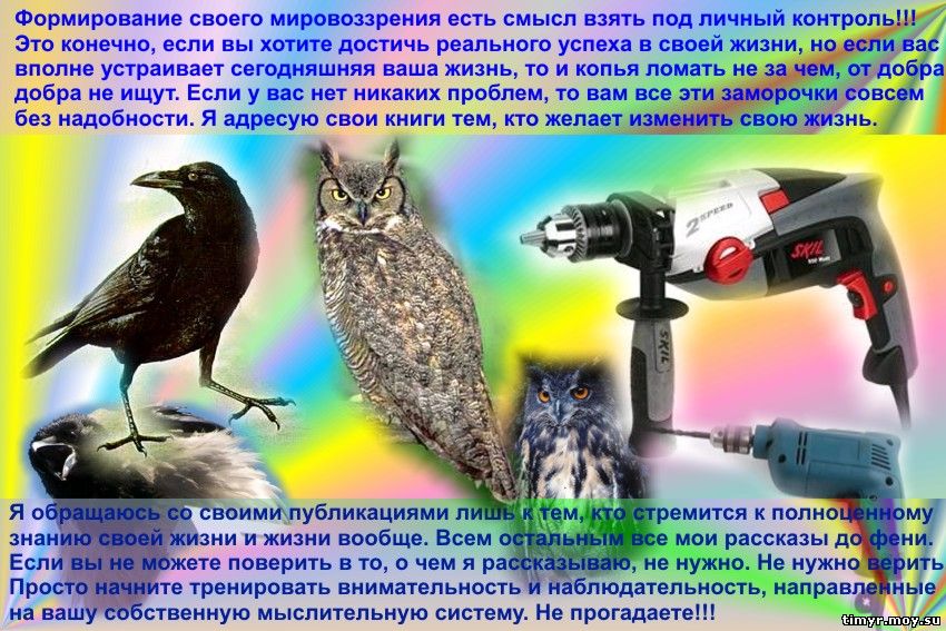 Что такое научные исследования