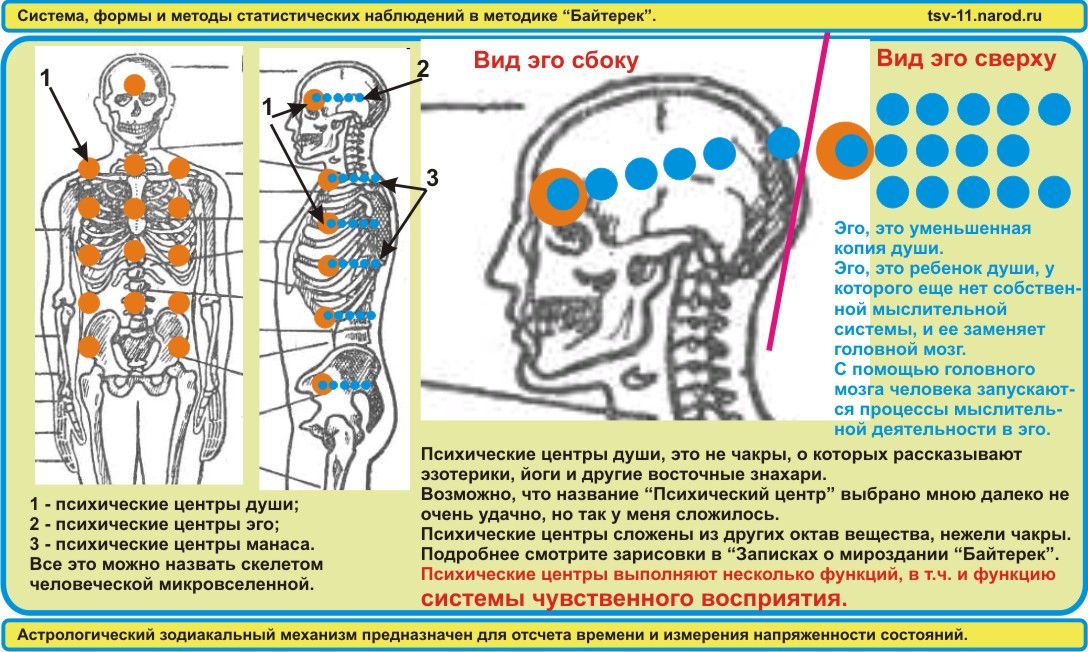 Мыслительная система человека