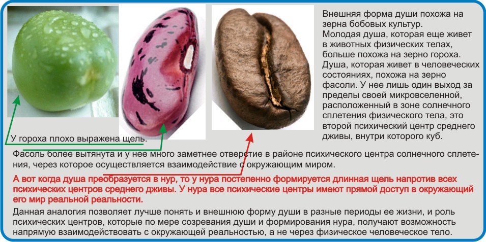 Устройство мироздания.