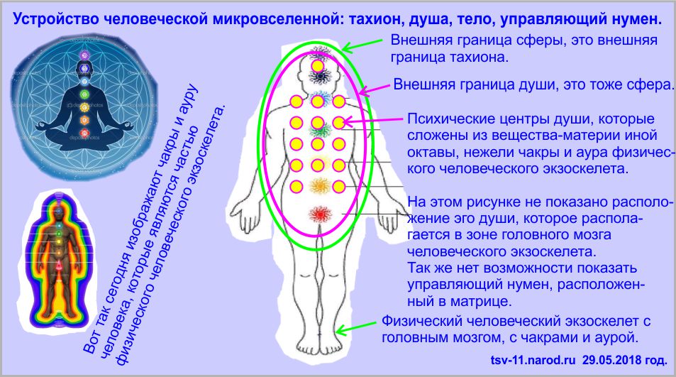 Устройство человеческой микровселенной и основа мироздания.