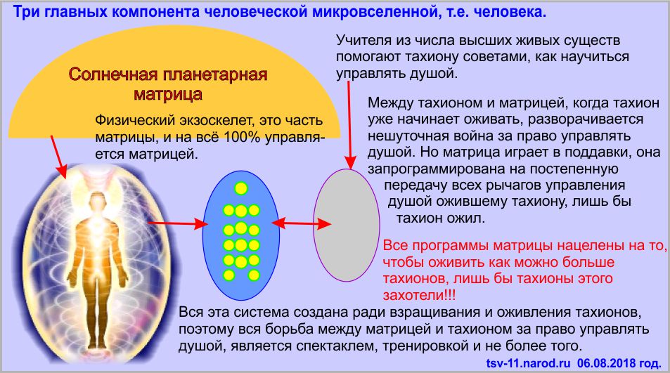 Что такое человек в Записках о мироздании Байтерек?