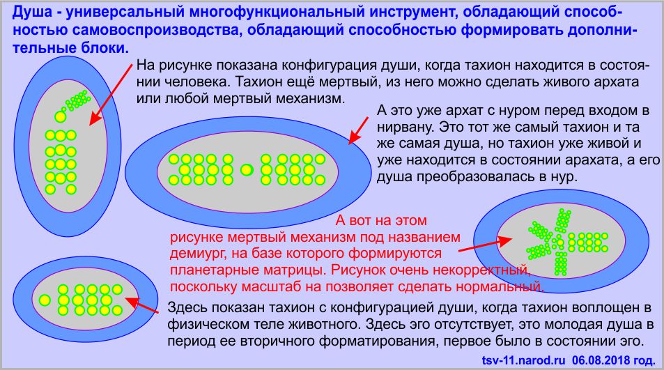 Что такое тахион в Записках о мироздании Байтерек?