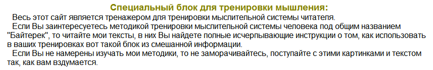 Основы мироздания, основы жизни, основы политики, основы тренировок. Тимур