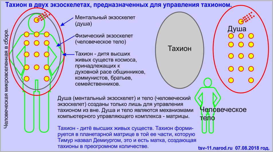 Грядущий царь, тахион